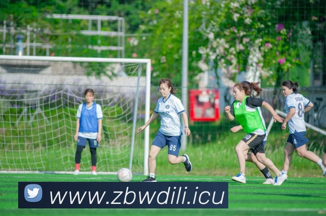 九游体育(中国)官方网站 - 九游 SPORTS平台生态图